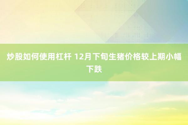 炒股如何使用杠杆 12月下旬生猪价格较上期小幅下跌