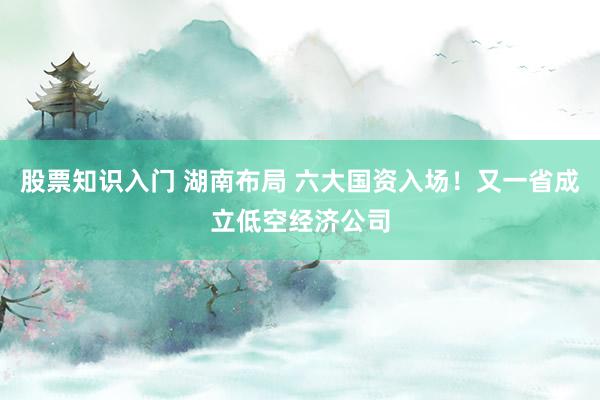 股票知识入门 湖南布局 六大国资入场！又一省成立低空经济公司