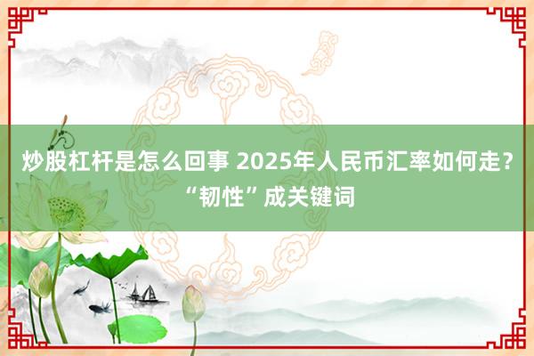 炒股杠杆是怎么回事 2025年人民币汇率如何走？“韧性”成关键词