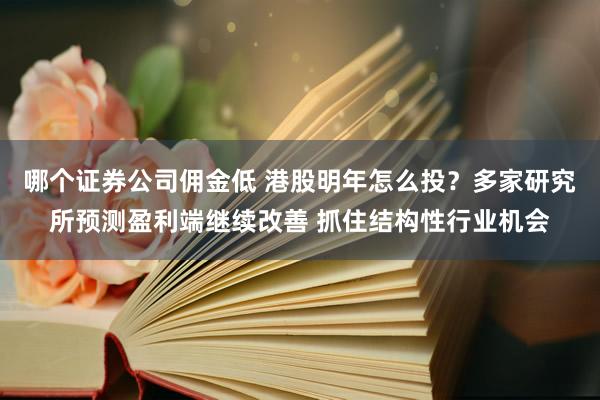 哪个证券公司佣金低 港股明年怎么投？多家研究所预测盈利端继续改善 抓住结构性行业机会