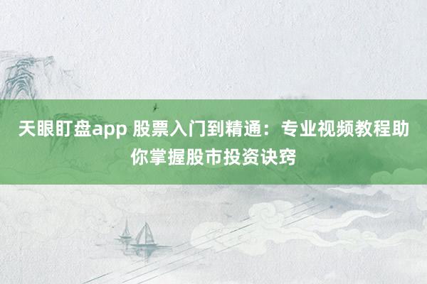 天眼盯盘app 股票入门到精通：专业视频教程助你掌握股市投资诀窍