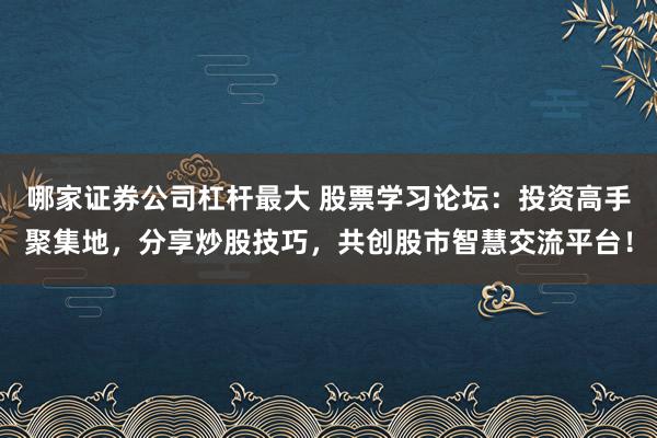 哪家证券公司杠杆最大 股票学习论坛：投资高手聚集地，分享炒股技巧，共创股市智慧交流平台！