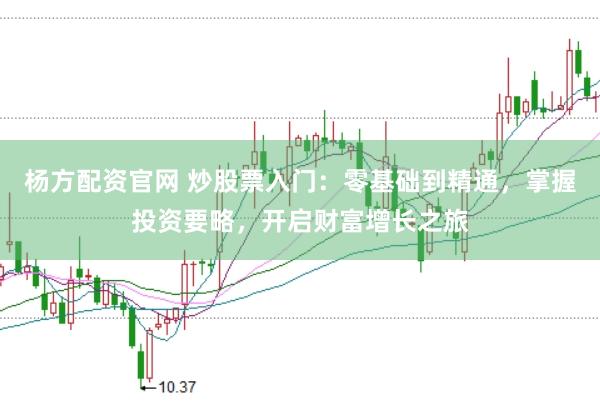 杨方配资官网 炒股票入门：零基础到精通，掌握投资要略，开启财富增长之旅