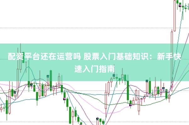 配资平台还在运营吗 股票入门基础知识：新手快速入门指南