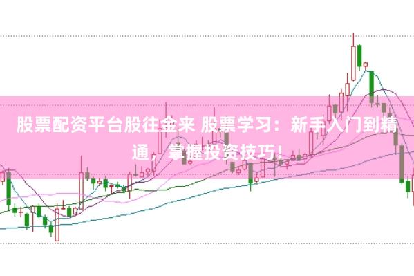股票配资平台股往金来 股票学习：新手入门到精通，掌握投资技巧！