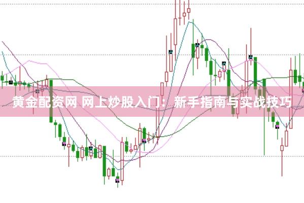 黄金配资网 网上炒股入门：新手指南与实战技巧