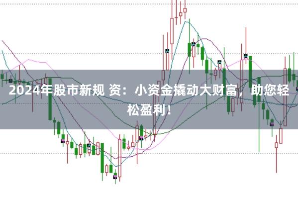 2024年股市新规 资：小资金撬动大财富，助您轻松盈利！
