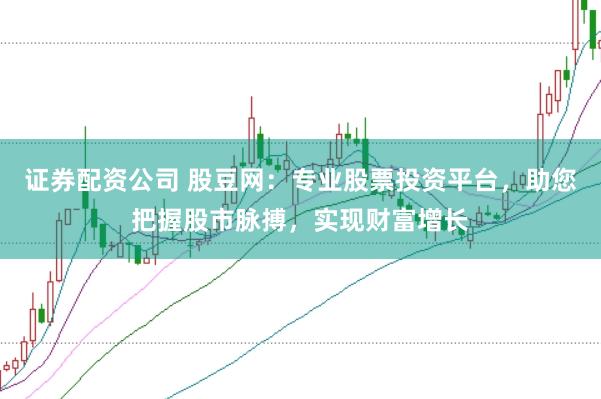证券配资公司 股豆网：专业股票投资平台，助您把握股市脉搏，实现财富增长
