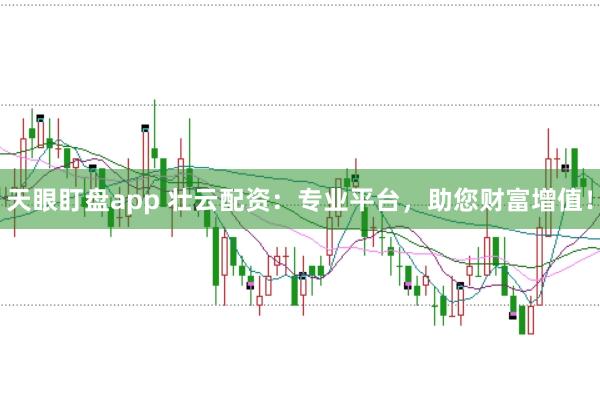 天眼盯盘app 壮云配资：专业平台，助您财富增值！