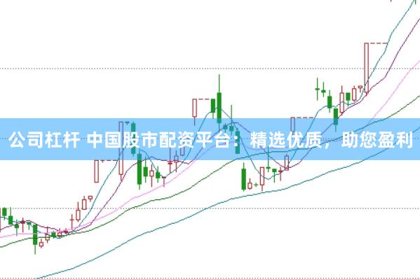 公司杠杆 中国股市配资平台：精选优质，助您盈利