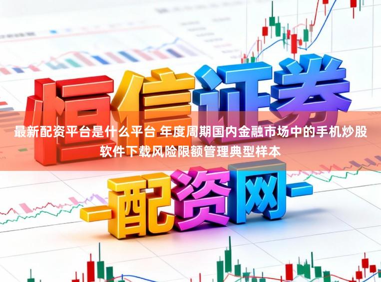 最新配资平台是什么平台 年度周期国内金融市场中的手机炒股软件下载风险限额管理典型样本