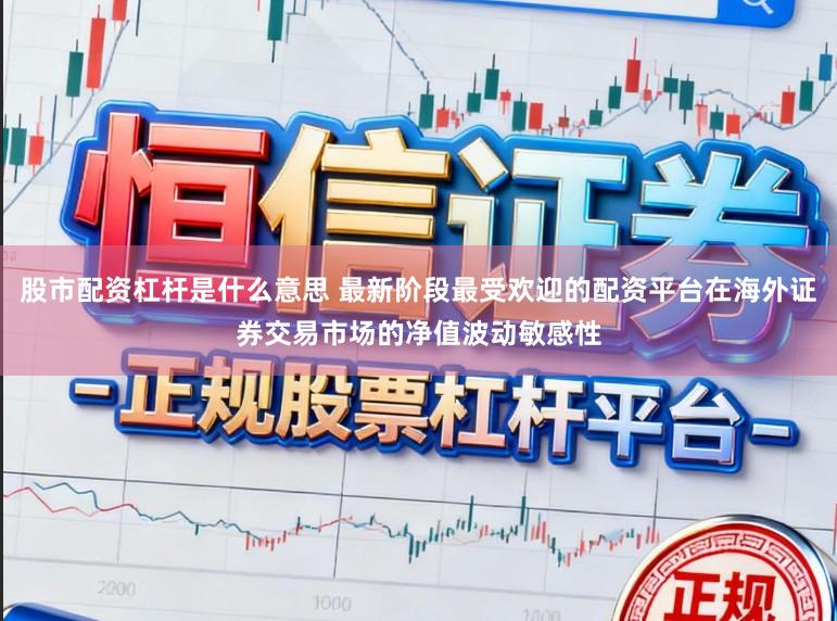 股市配资杠杆是什么意思 最新阶段最受欢迎的配资平台在海外证券交易市场的净值波动敏感性