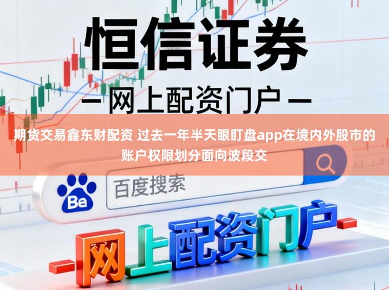 期货交易鑫东财配资 过去一年半天眼盯盘app在境内外股市的账户权限划分面向波段交