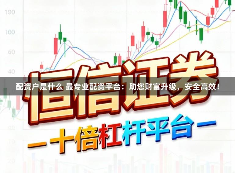 配资户是什么 最专业配资平台：助您财富升级，安全高效！